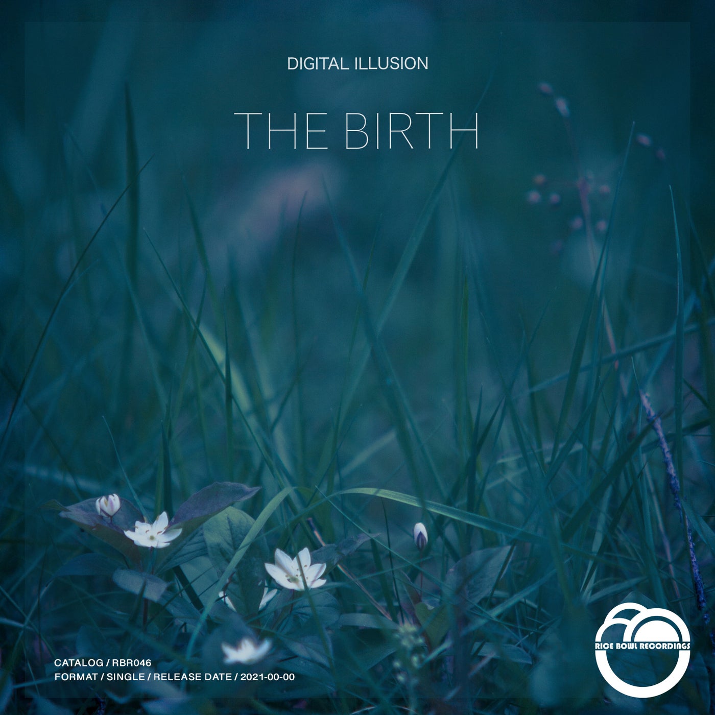 Digital Illusion – The Birth [RBR046]